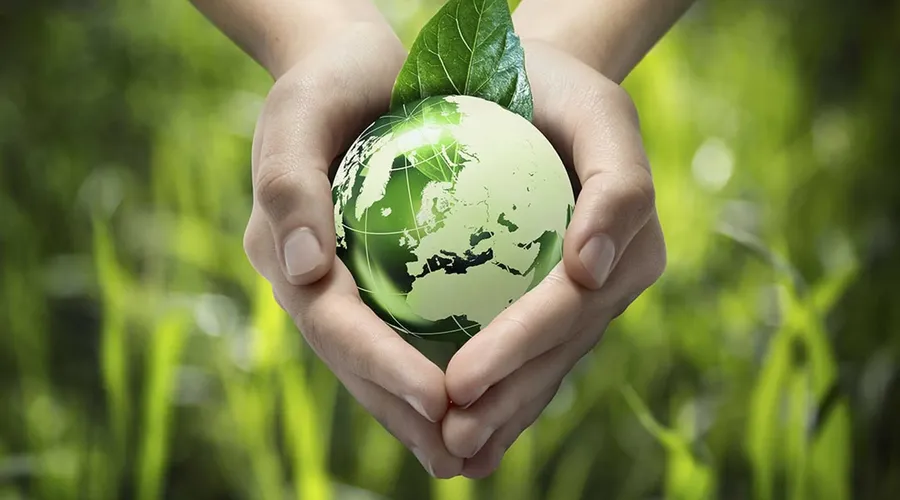 Eco Project