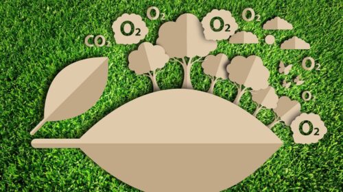 Qué es la Huella de Carbono y Para Qué Sirve 37682