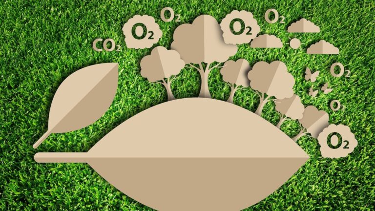 Qué es la Huella de Carbono y Para Qué Sirve 37682