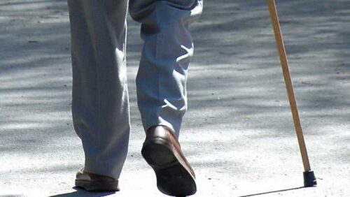 Conoce la Nueva casa de los Abuelos 38109