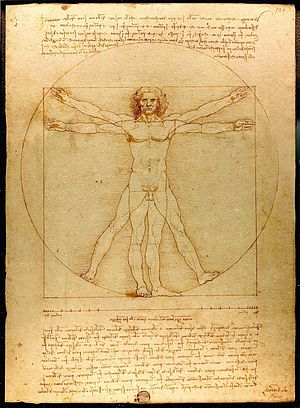 da-vinci-proporcion-aurea