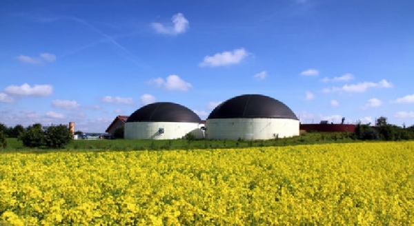 biogas-cupulas