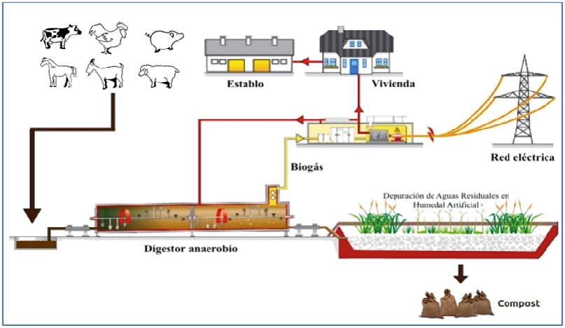 instalacion-sistema-biogas