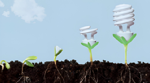 Cultiva_Tu_Energía_Portada