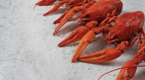 Impresión_3D_Langostas_Portada