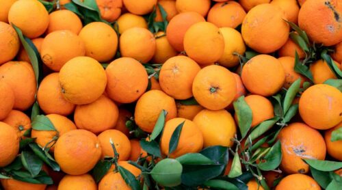 Materiales_Ecológicos_Portada