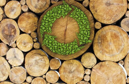 Últimas Novedades en Materiales Sostenibles de Construcción 47870