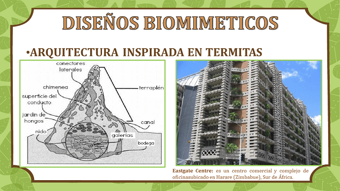 biomimeticos-edificio-termitas-eastagecentre