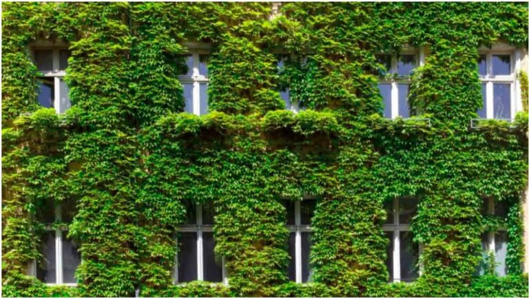 fachada-ventanas-construccion-sostenible