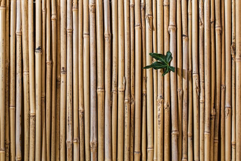 3 Ideas para Decoración de Interiores Ecológica 45068