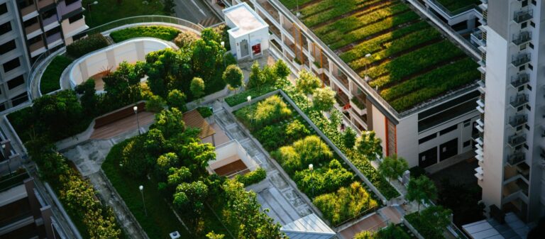 financiacion-diseno-jardines-techos-cubiertas-verdes