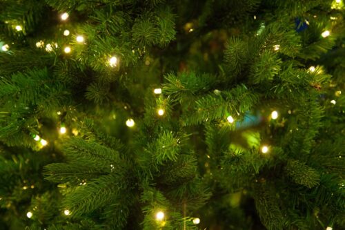 Navidades Verdes para Todos 37705