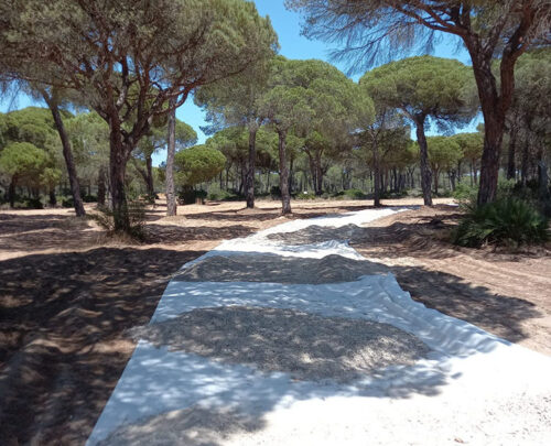 El potencial de los geotextiles para obra civil más sostenible 52495