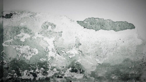 Soluciones Innovadoras frente a la Humedad por Capilaridad en la Construcción 52619