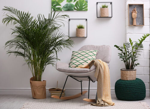 Ideas para Decorar tu Casa con Plantas de Interior 45895