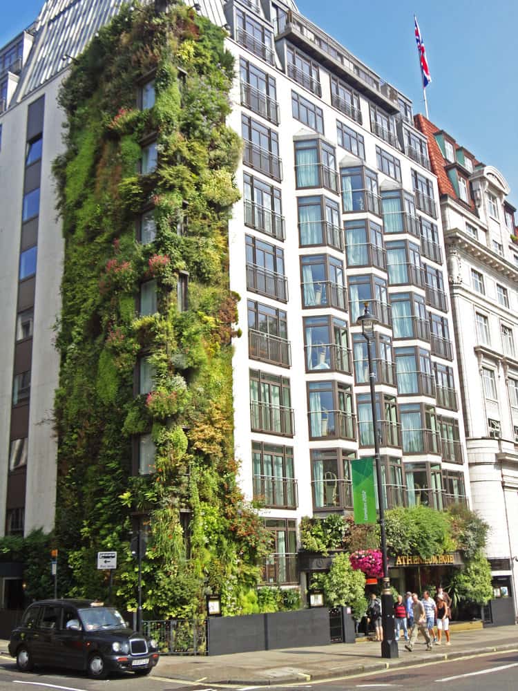 fachada-verde-hotel