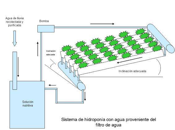 ideas-construir-jardines-hidroponicos-ejemplo