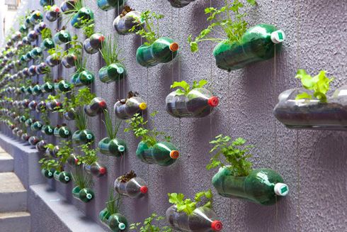 jardin-vertical-botellas
