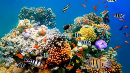 Paisajes Increíbles y Naturales que no sabías que existían 41229