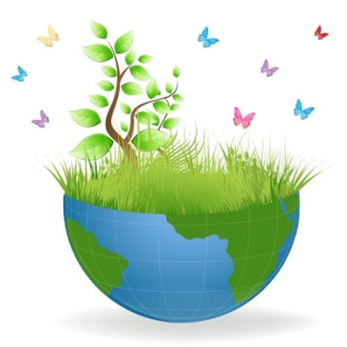 Autoconsumo y Reforma Energética. ¿Qué puedo hacer yo? 37868