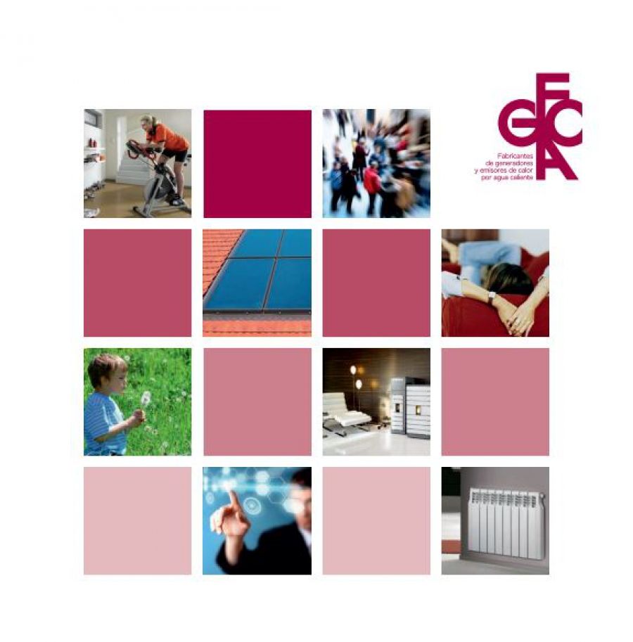 Sistemas Eficientes y Energías Renovables 38547
