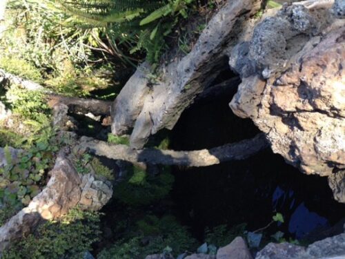 Tarifas Progresivas y Cortes de Suministro Ahorrar Agua 37699