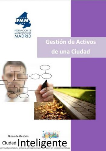 Gestión de Activos en una Ciudad 38769