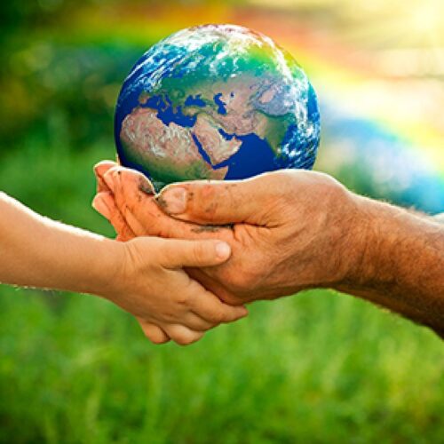 La Permacultura como Forma de Vida 37887