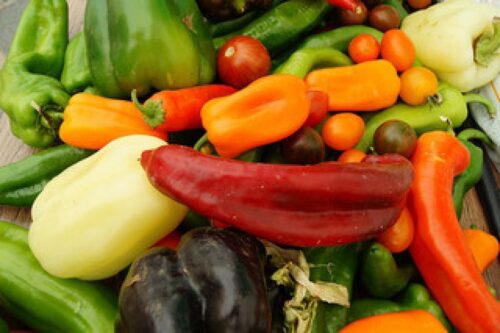 Cómo Construir tu Huerto Urbano Ecológico 38293