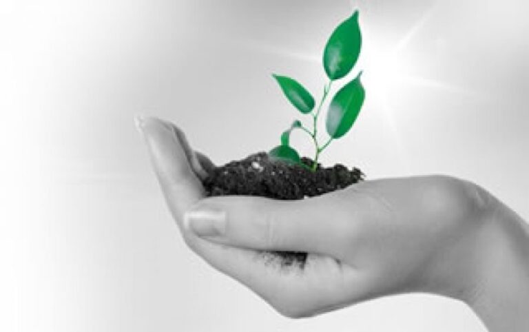 La Inversión Europea en Eficiencia Energética no es Rentable 37072