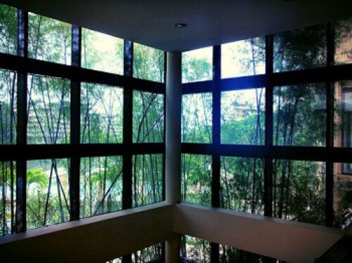 ¿Conoces las Nuevas Ventanas Inteligentes? 38537