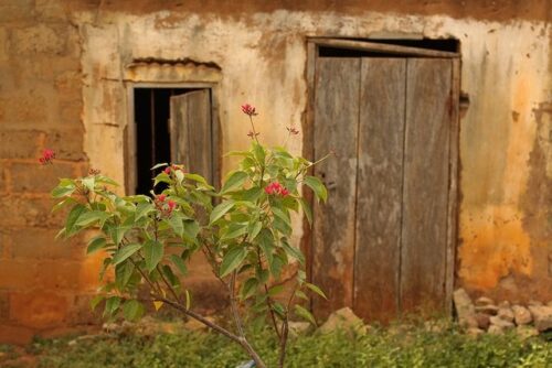 ¿Conoces el Informe de Evaluación del Edificio? 38979