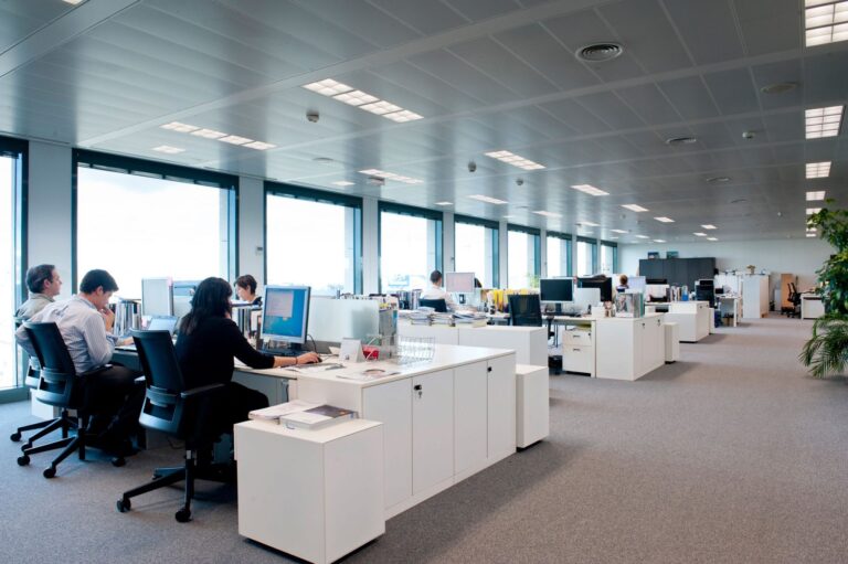 Plan de Ahorro y Eficiencia Energética en Oficinas 39218