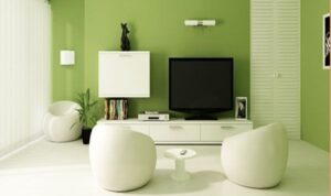 Beneficios de las Pinturas Naturales y Ecológicas 39991