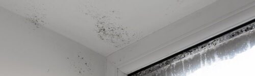 Las Mejores Soluciones a las Humedades por Condensación de tu Hogar 46446