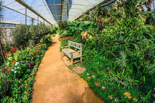 Verano, Agricultura y Jardinería: Cómo Proteger los Cultivos Ecológicos 46144