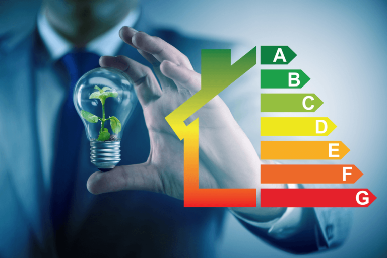 Ejemplos_destacados_Ecoemprendedores